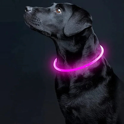 3 Modes USB Rechargeable LED Dog Collar