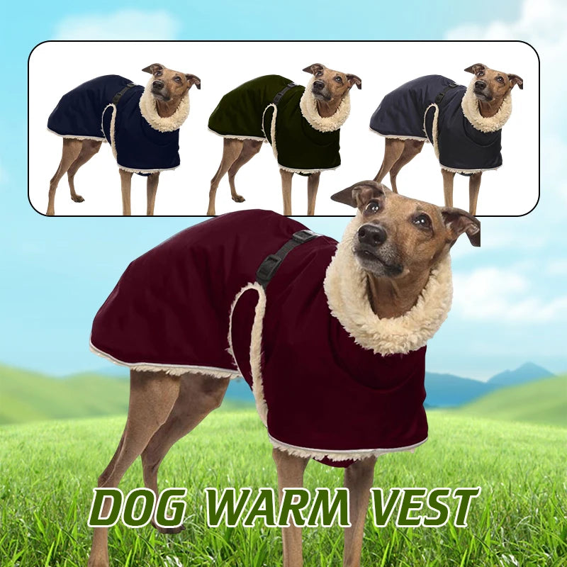 dog warm vest