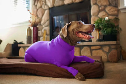 Anti Shedding Long Sleeve with Legs for Dogs