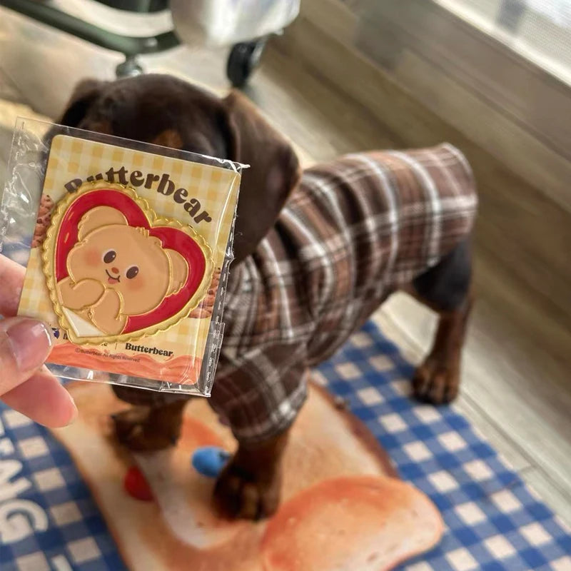 dachshund puppy jumper​