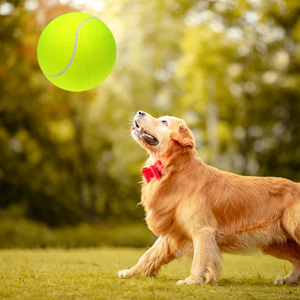 9.5 Giant Tennis Balls for Dogs