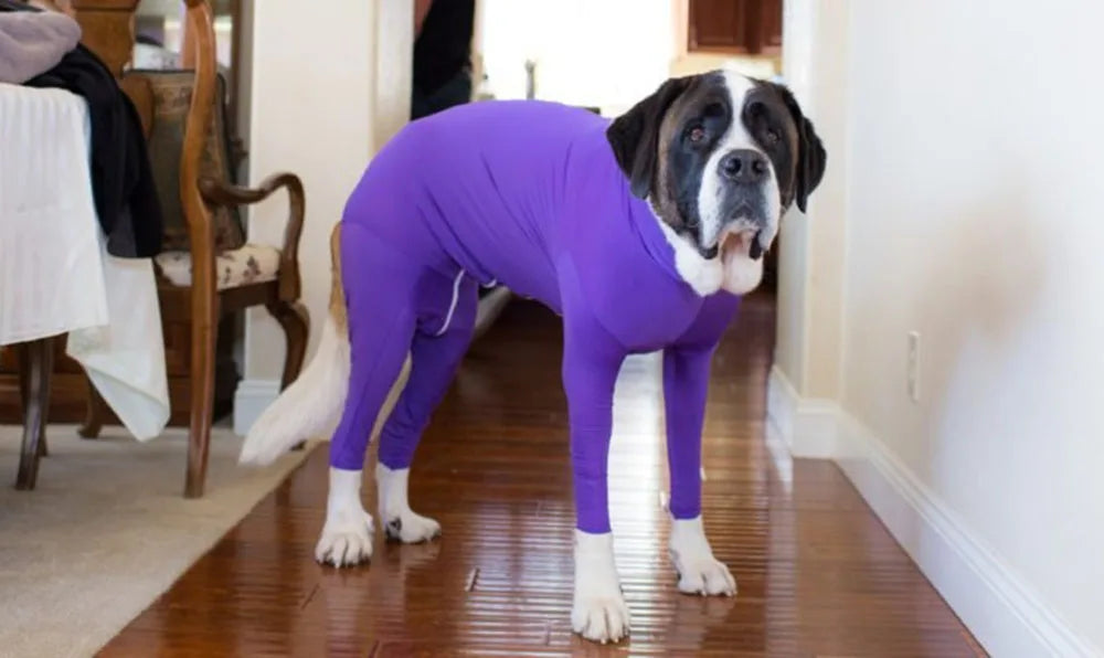 Anti Shedding Long Sleeve with Legs for Dogs