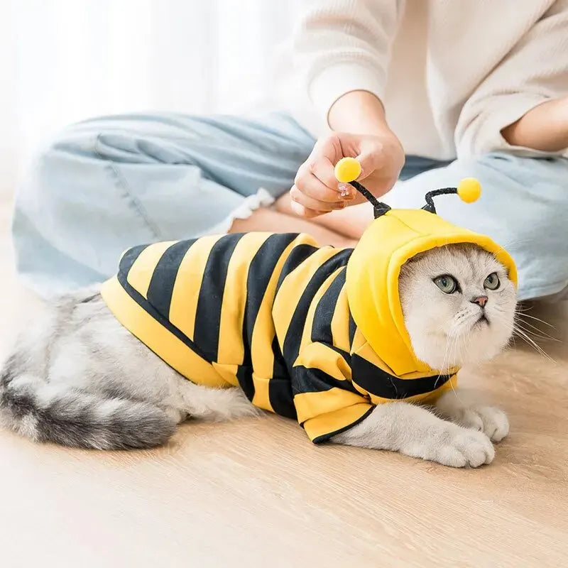 cat funny t shirt

