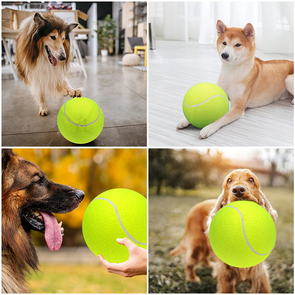 big tennis ball for dogs​