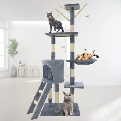 climbing frames for cats
