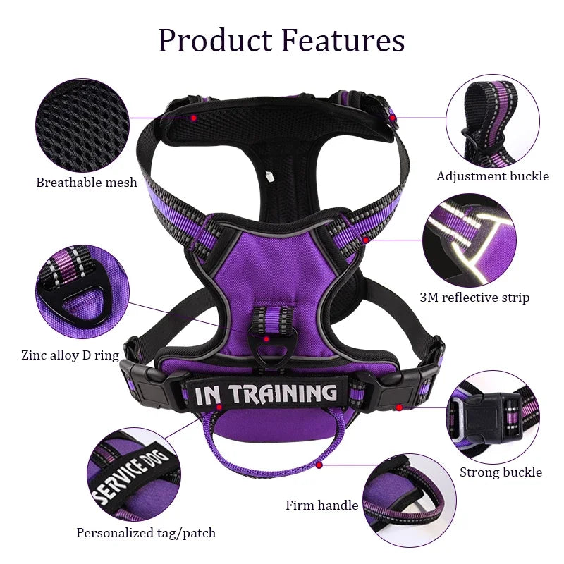 best pet harness for small dogs