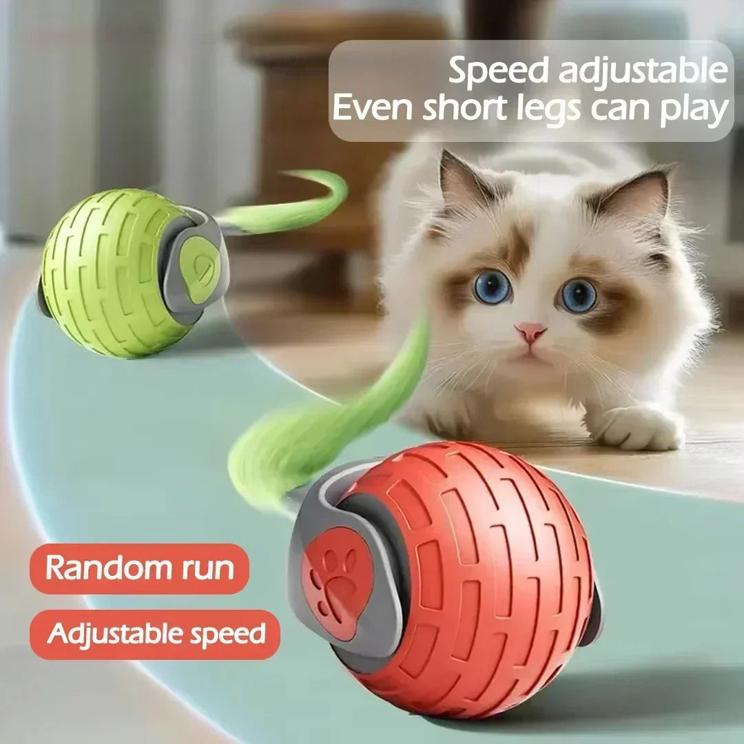 active rolling ball with tail for dogs
