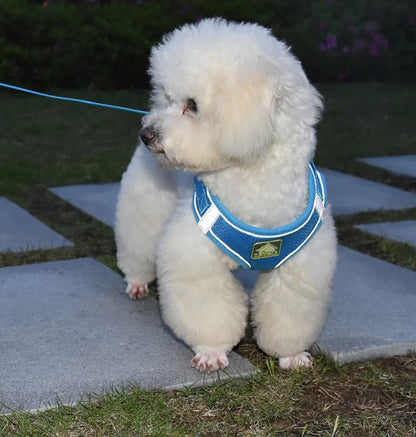 Reflective Velcro Harness and Leads Set For Small Large Dogs