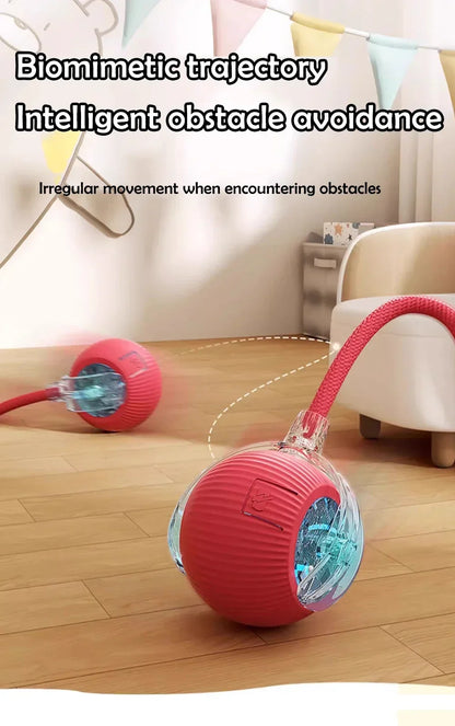 toy that rolls into a ball