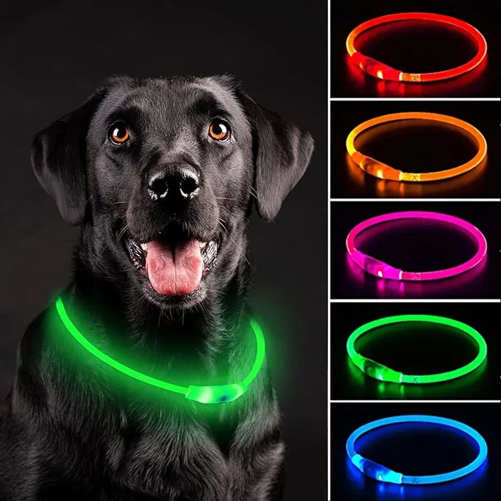 light up dog collar