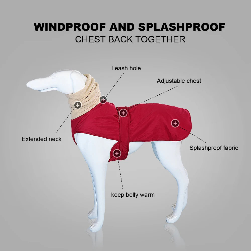 Super Warm Waterproof Greyhound Clothes