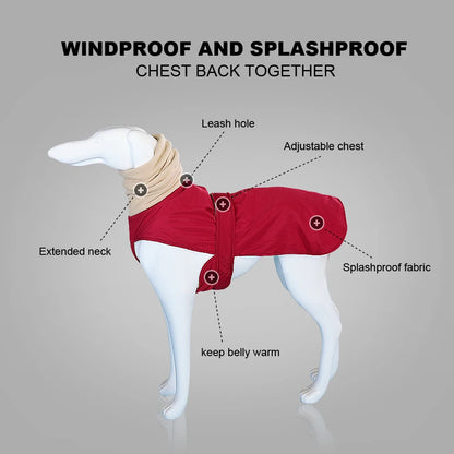 Super Warm Waterproof Greyhound Clothes