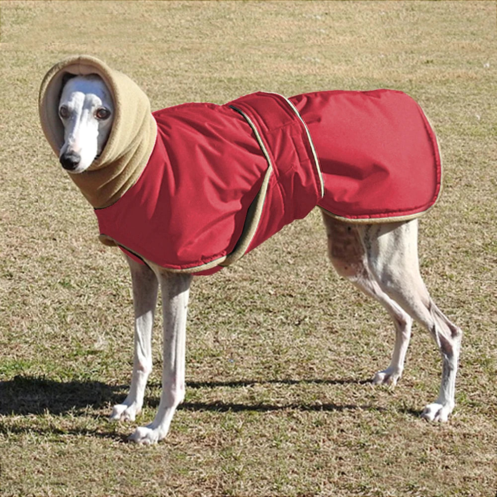 Super Warm Waterproof Greyhound Clothes