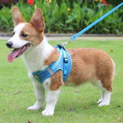 Reflective Velcro Harness and Leads Set For Small Large Dogs