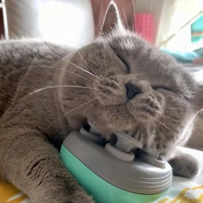 Electric Cat Head Back Massager for Relieving Tension