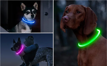 best light up dog collar uk