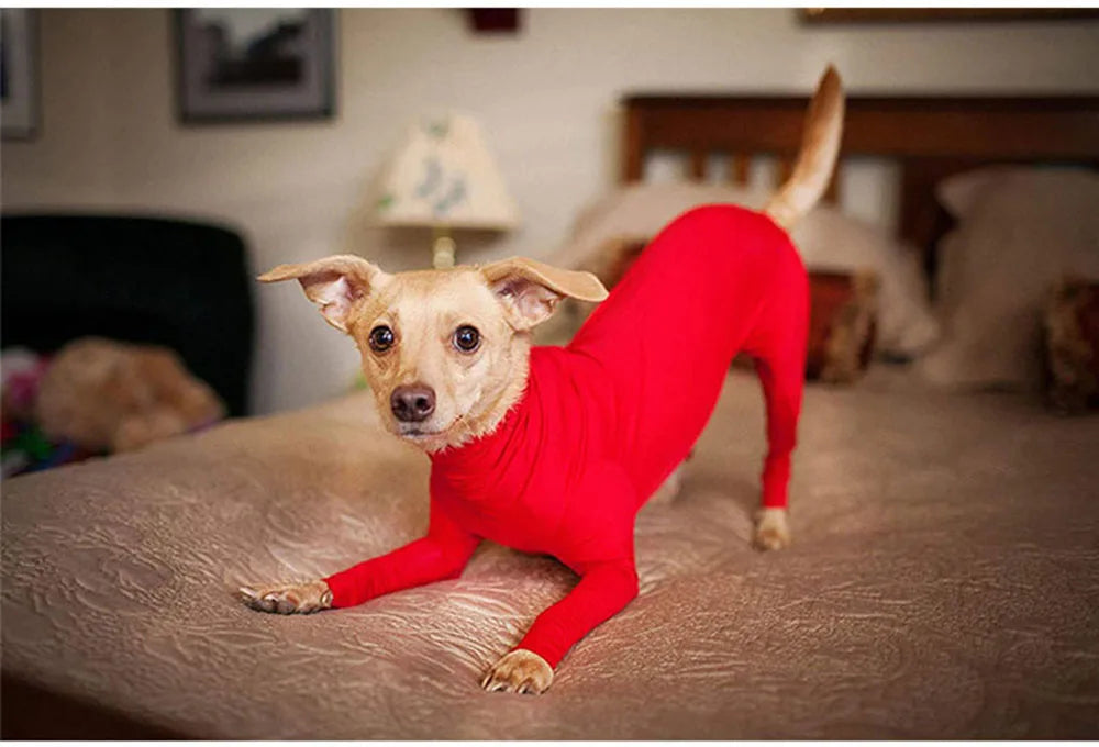 Anti Shedding Long Sleeve with Legs for Dogs