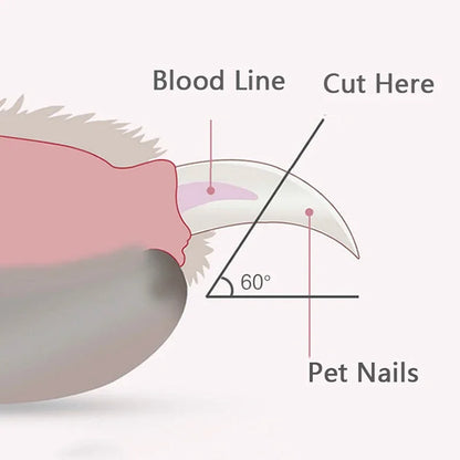 Pet Nail Clipper Instruction