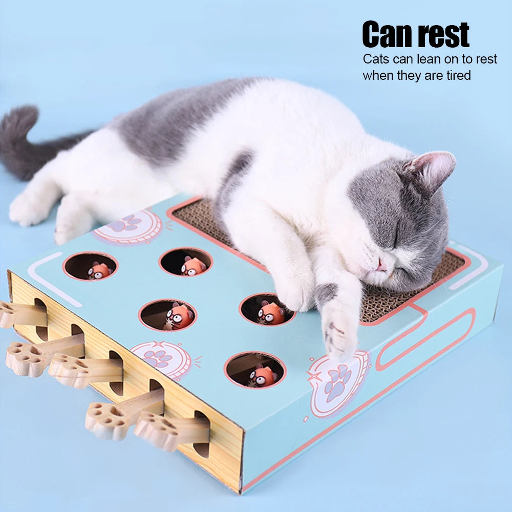 cat in a box cat toy