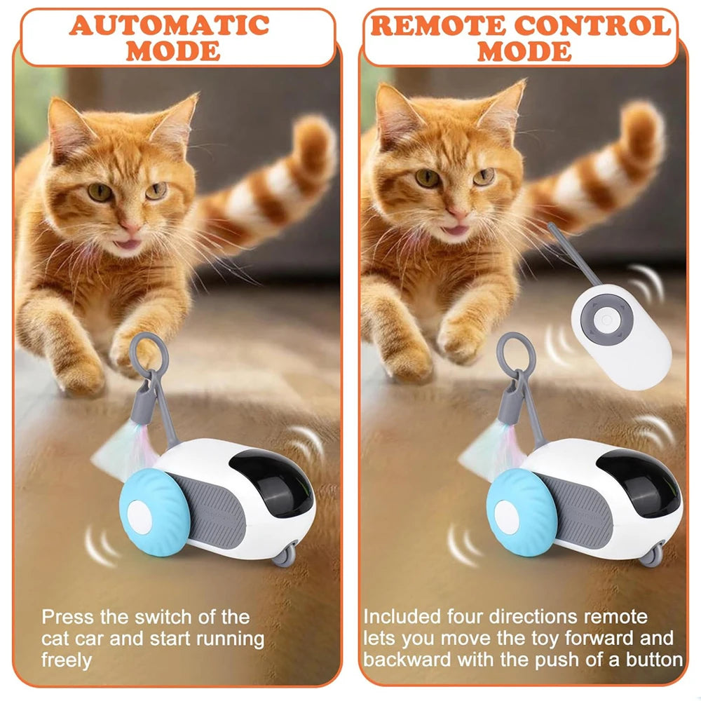 cat remote toys