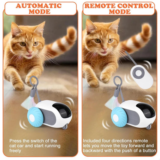 cat remote toys