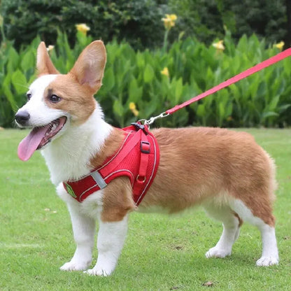 Reflective Velcro Harness and Leads Set For Small Large Dogs