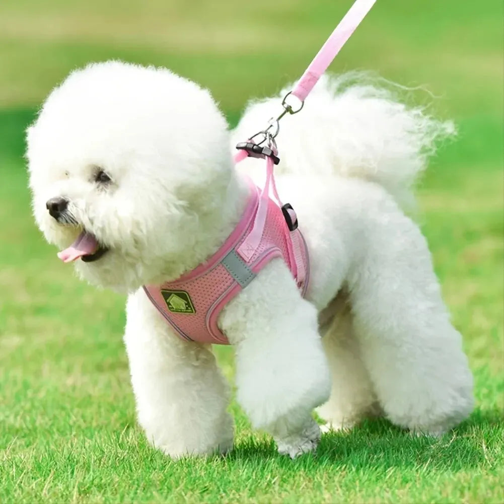 small dog harness with velcro

