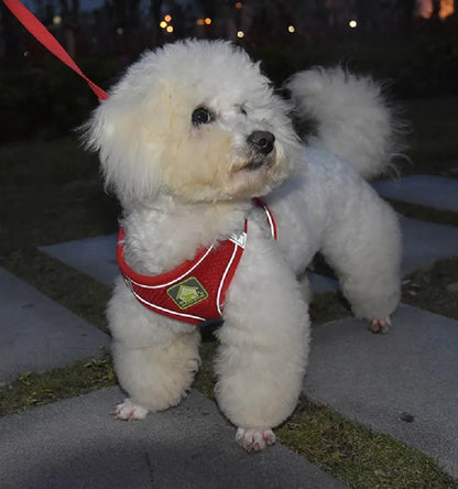 Reflective Velcro Harness and Leads Set For Small Large Dogs