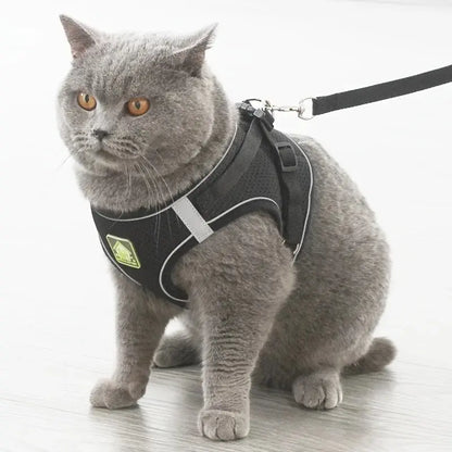 Reflective Velcro Harness and Leads Set For Small Large Dogs