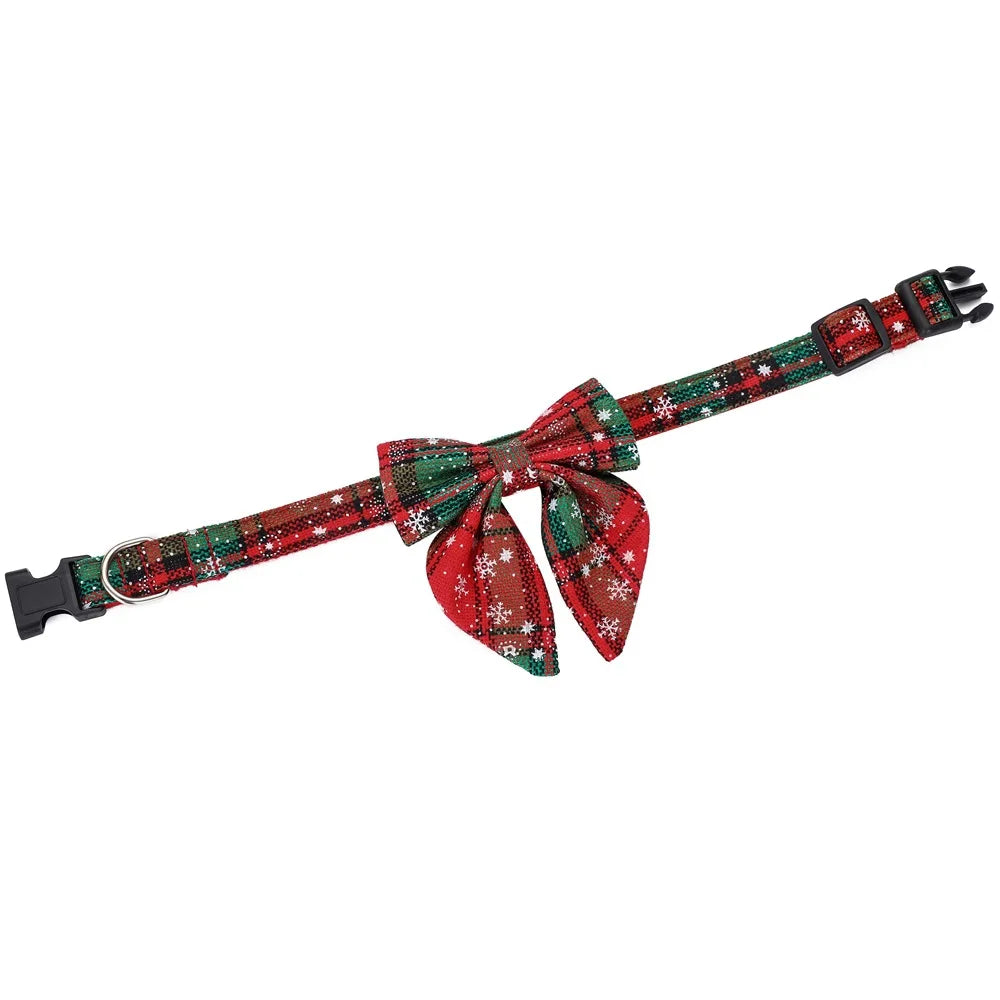 dog collar for christmas

