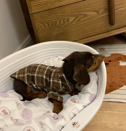 dachshund jumper​ UK