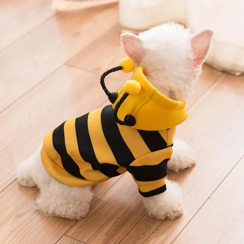 yellow and black cat t shirt
