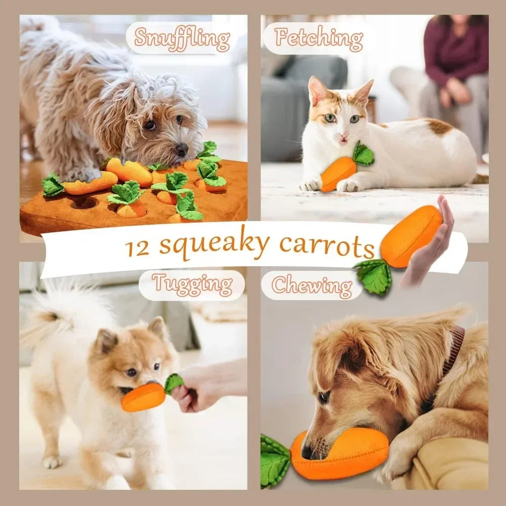 carrot pet squeak toy