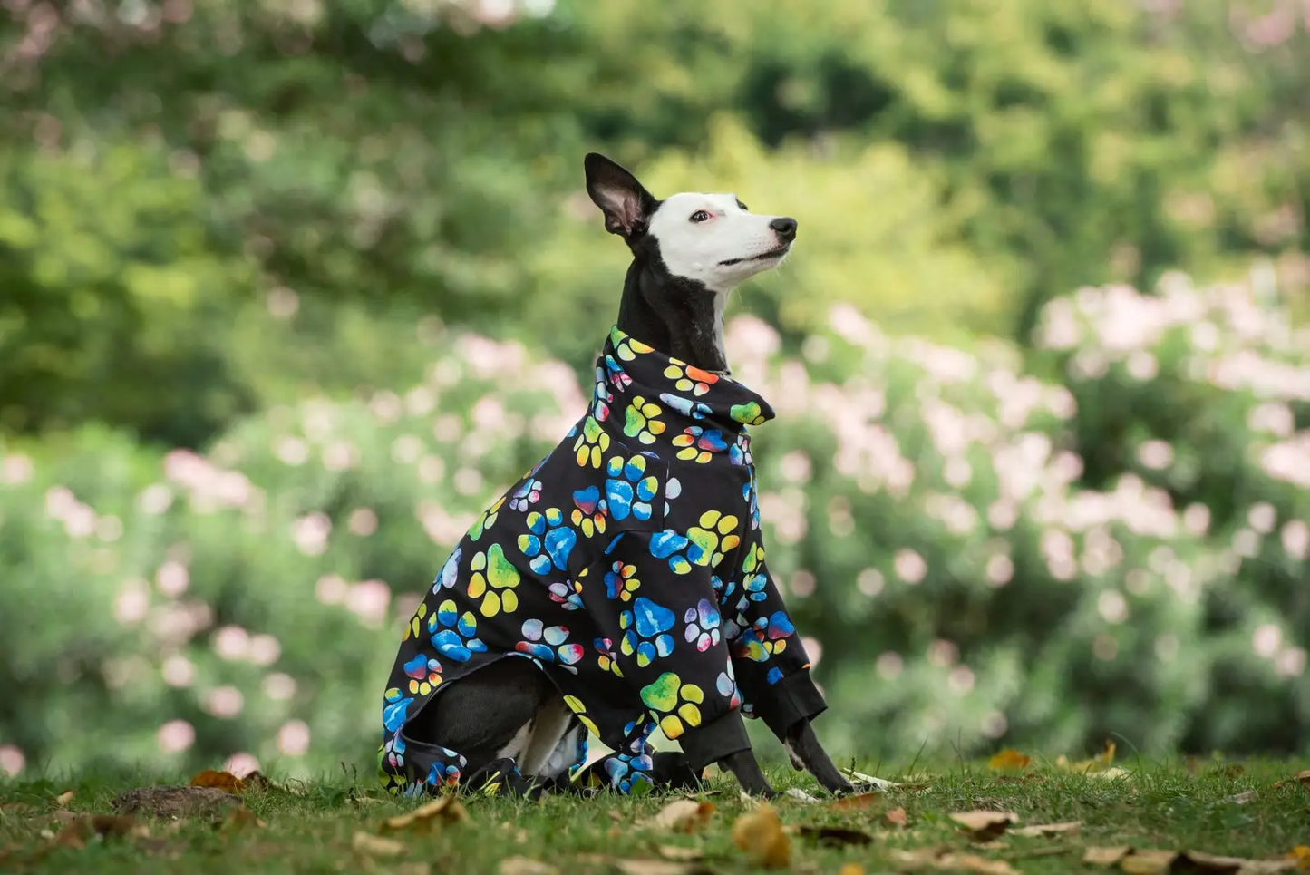 High Collar Winter Dog Pajamas Jumpsuit