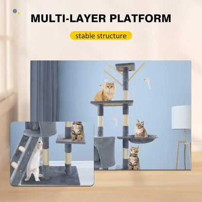 big cat climbing frame

