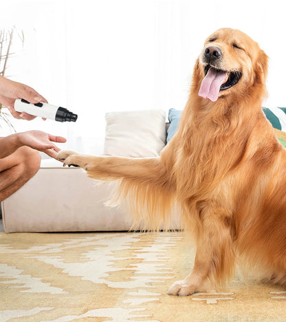 Electric Ultra Noise Dog Nail Grinder for Cat Paws