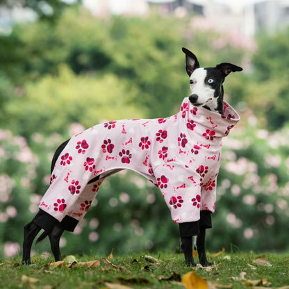 Dog wearing premium winter outfit

