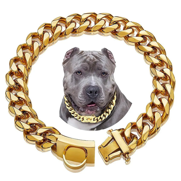 gold chain dog collar