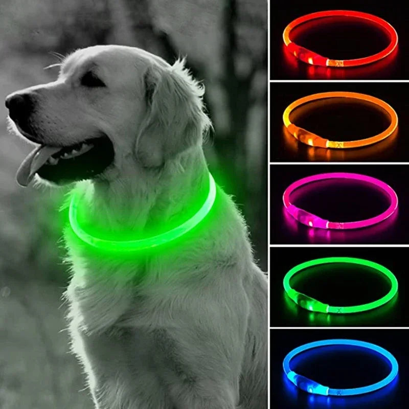 light up dog collar uk