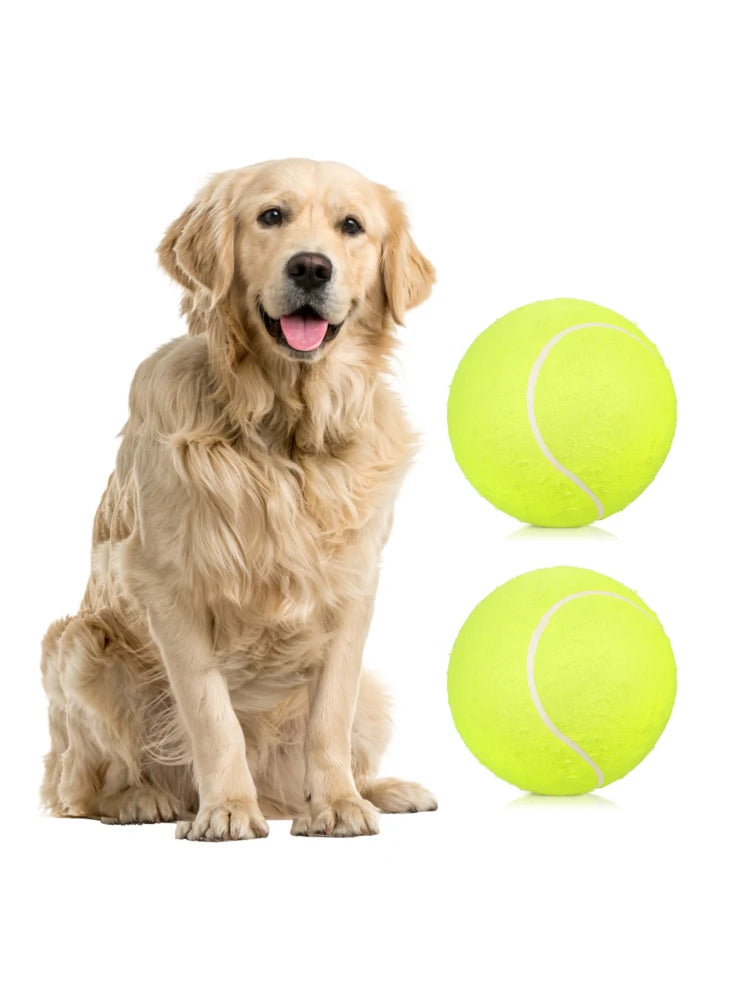 9.5 Giant Tennis Balls for Dogs