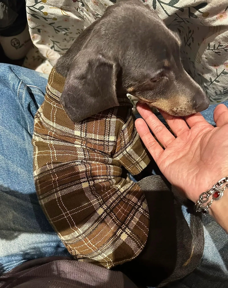Sausage Dog jumper​s