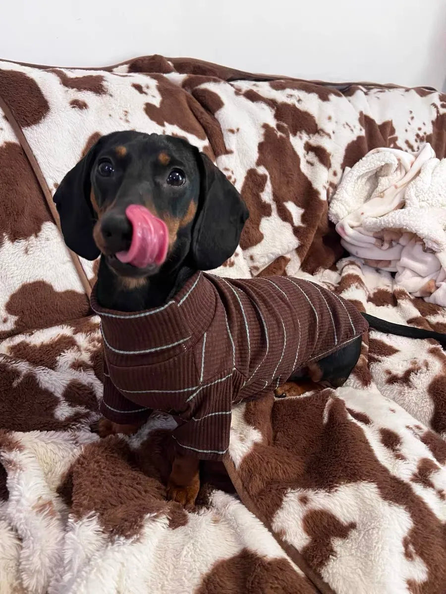 Buy Dog Jumpers