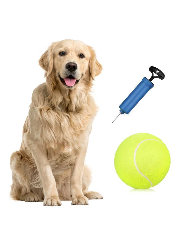 9.5 Giant Tennis Balls for Dogs