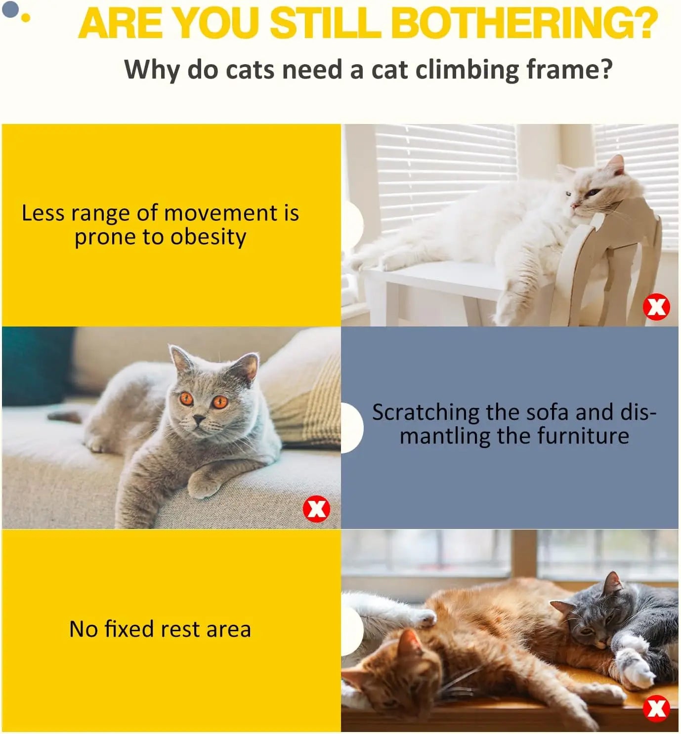 cat indoor climbing frame

