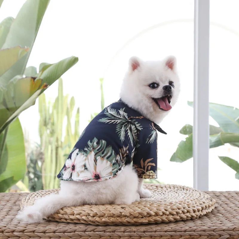 dog wearing hawaiian shirt