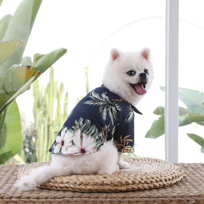 dog wearing hawaiian shirt