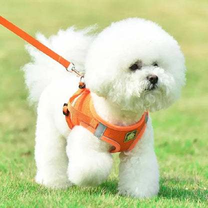 Reflective Velcro Harness and Leads Set For Small Large Dogs