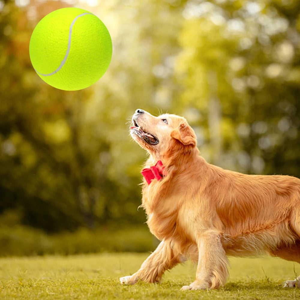 giant tennis ball for dogs uk