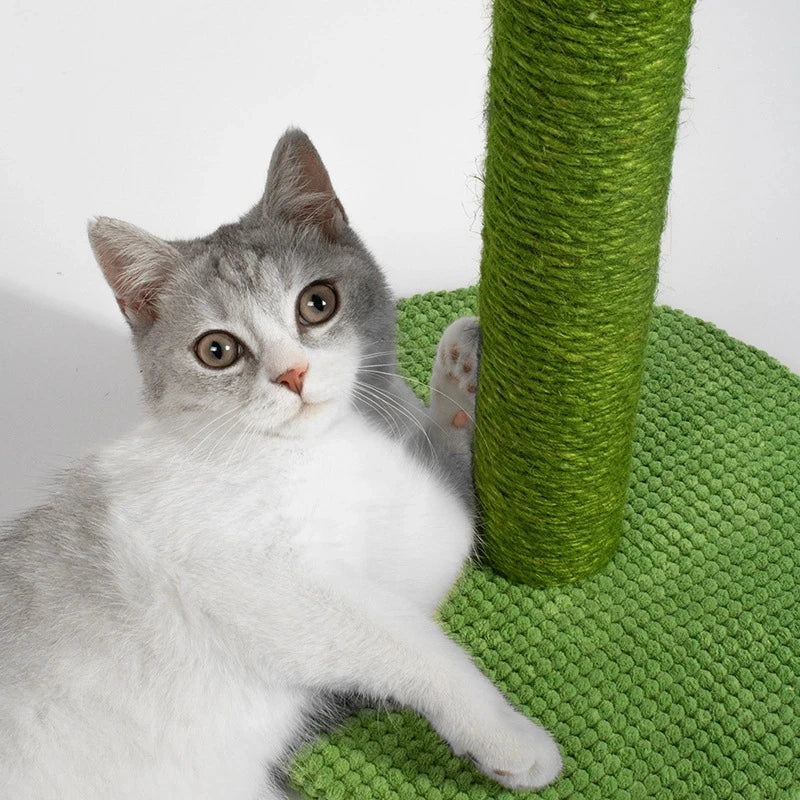 green cactus cat scratcher