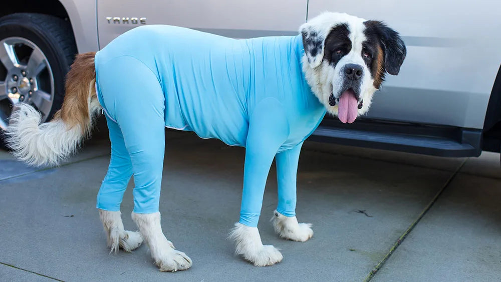 Anti Shedding Long Sleeve with Legs for Dogs
